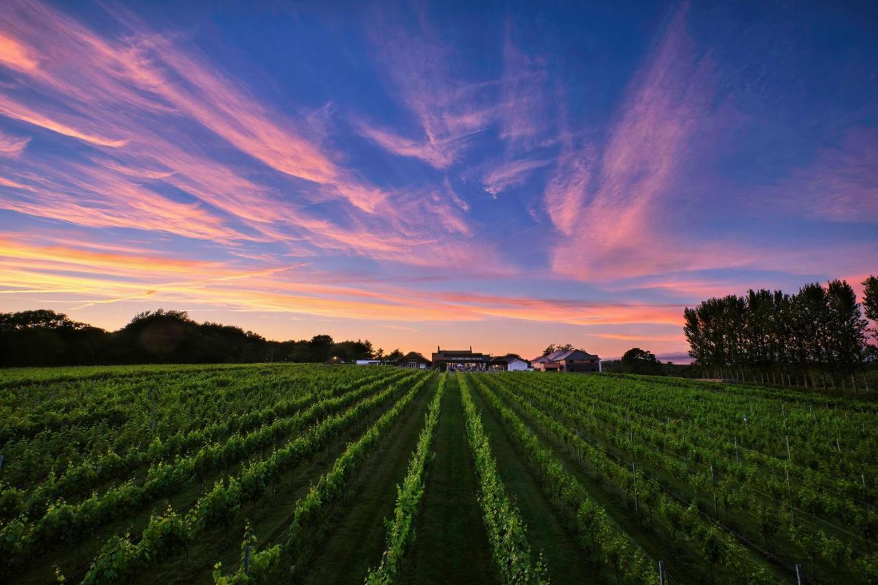 Llanerch Vineyard Hotel Hensol Exterior photo