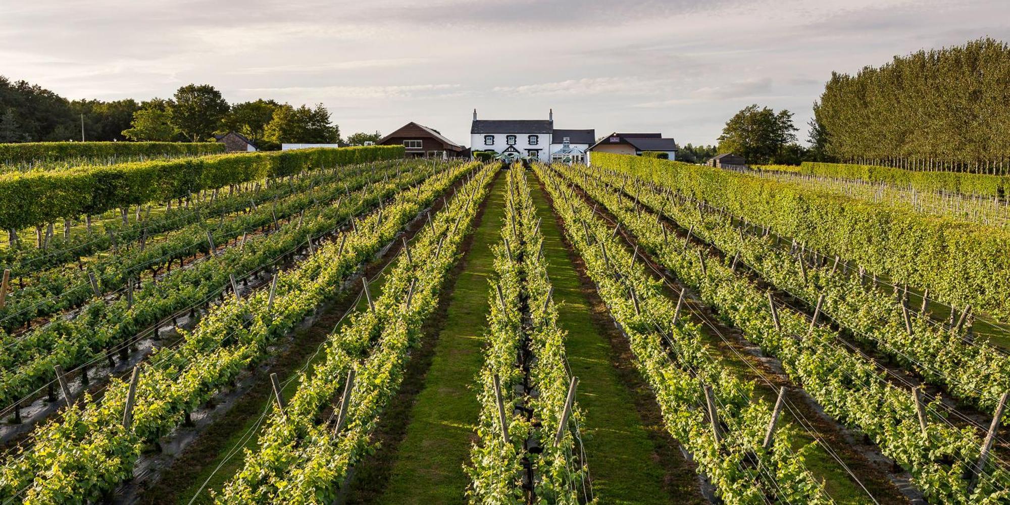 Llanerch Vineyard Hotel Hensol Exterior photo