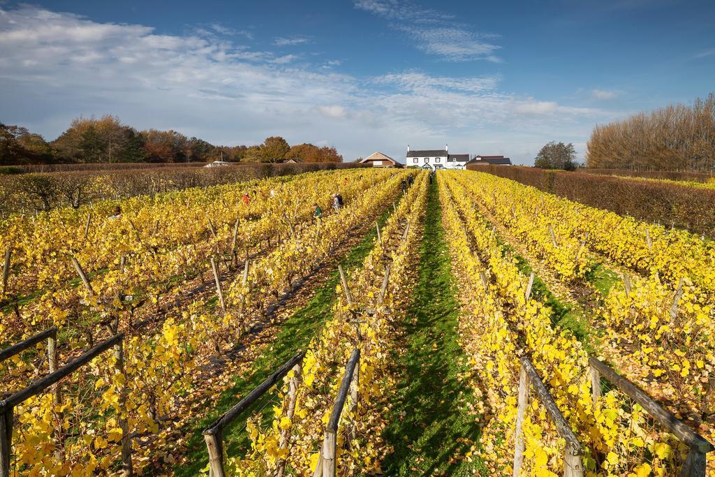 Llanerch Vineyard Hotel Hensol Exterior photo