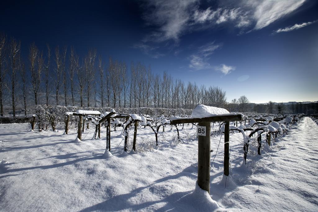 Llanerch Vineyard Hotel Hensol Exterior photo